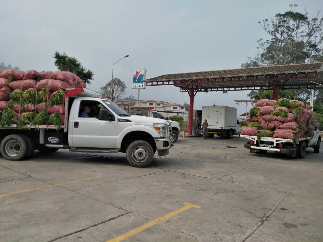 WhatsApp Image 2020-04-04 at 8.28.53 PM.jpeg